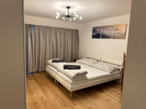 Haus Pramalinis Davos Platz